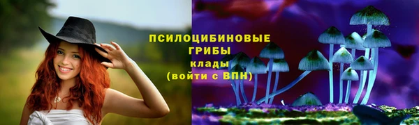 сатива Армянск