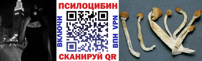 Галлюциногенные грибы Psilocybe  ссылка на мегу ссылки  Саки 